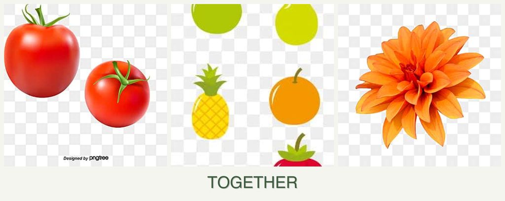 Can you plant tomatoes, pears and dahlias together?