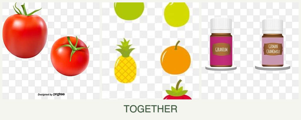 Can you plant tomatoes, pears and geraniums together?