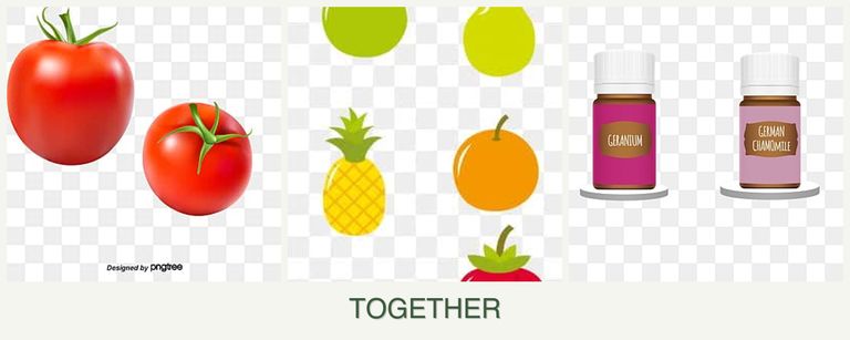 Can you plant tomatoes, pears and geraniums together?