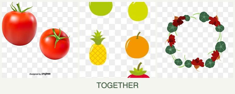 Can you plant tomatoes, pears and nasturtiums together?