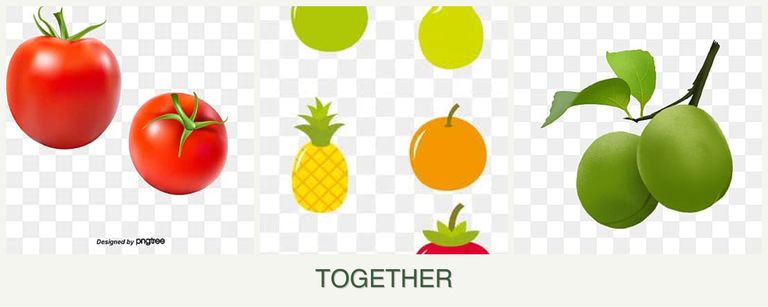Can you plant tomatoes, pears and plums together?