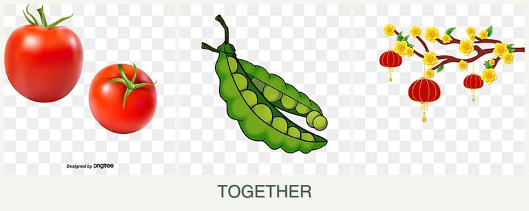 Can you plant tomatoes, peas and apricots together?