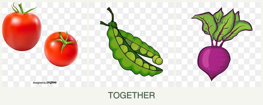 Can you plant tomatoes, peas and beets together?