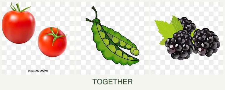 Can you plant tomatoes, peas and blackberries together?