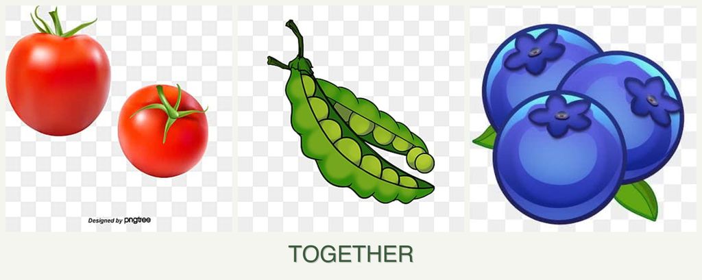 Can you plant tomatoes, peas and blueberries together?