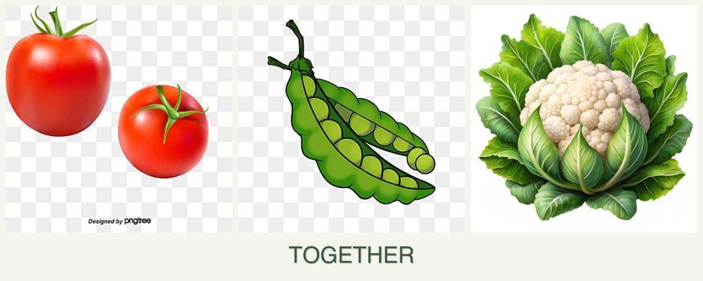 Can you plant tomatoes, peas and cauliflower together?