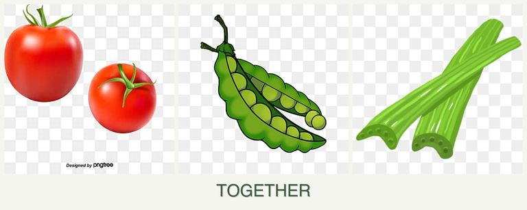Can you plant tomatoes, peas and celery together?