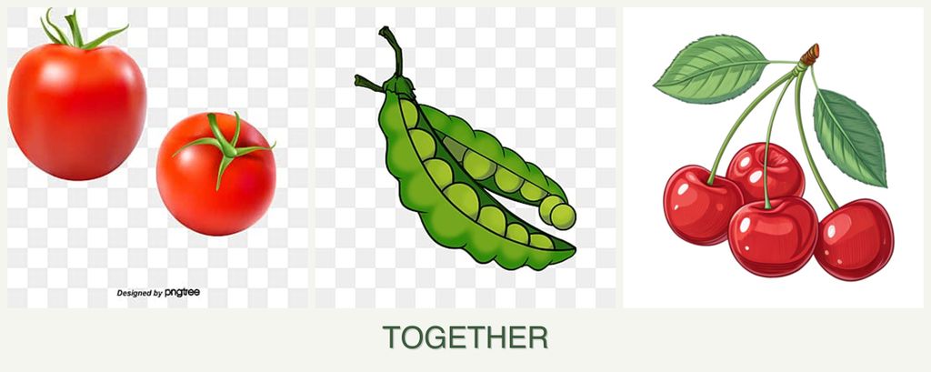 Can you plant tomatoes, peas and cherries together?