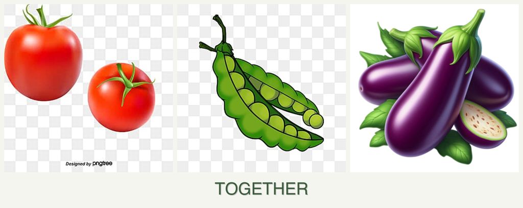 Can you plant tomatoes, peas and eggplant together?