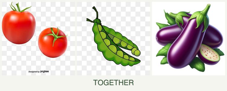 Can you plant tomatoes, peas and eggplant together?