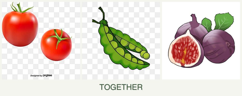 Can you plant tomatoes, peas and figs together?