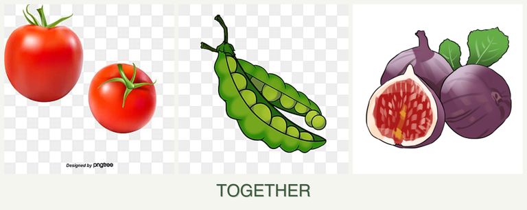 Can you plant tomatoes, peas and figs together?