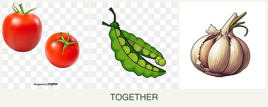 Can you plant tomatoes, peas and garlic together?