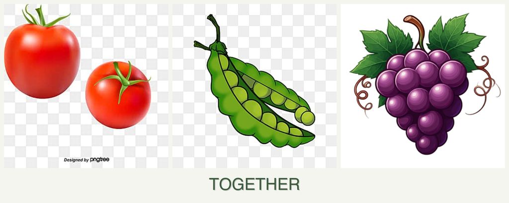 Can you plant tomatoes, peas and grapes together?