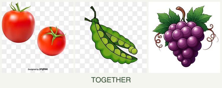 Can you plant tomatoes, peas and grapes together?