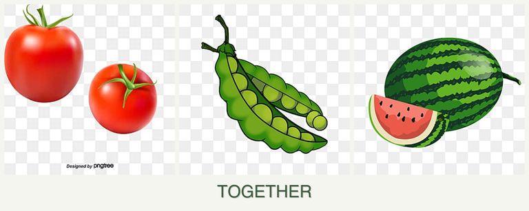 Can you plant tomatoes, peas and melons together?