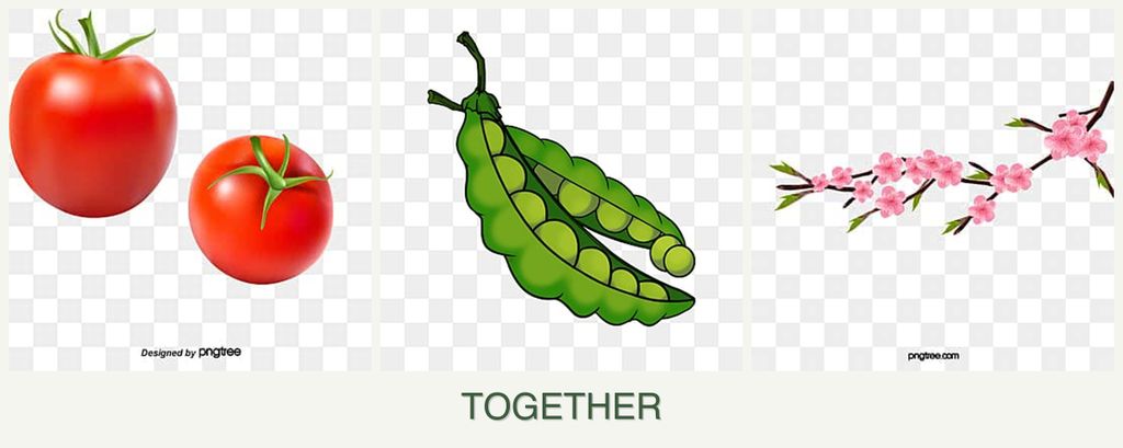 Can you plant tomatoes, peas and peaches together?