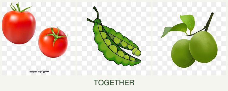 Can you plant tomatoes, peas and plums together?