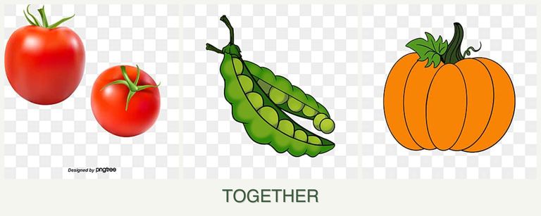 Can you plant tomatoes, peas and pumpkin together?
