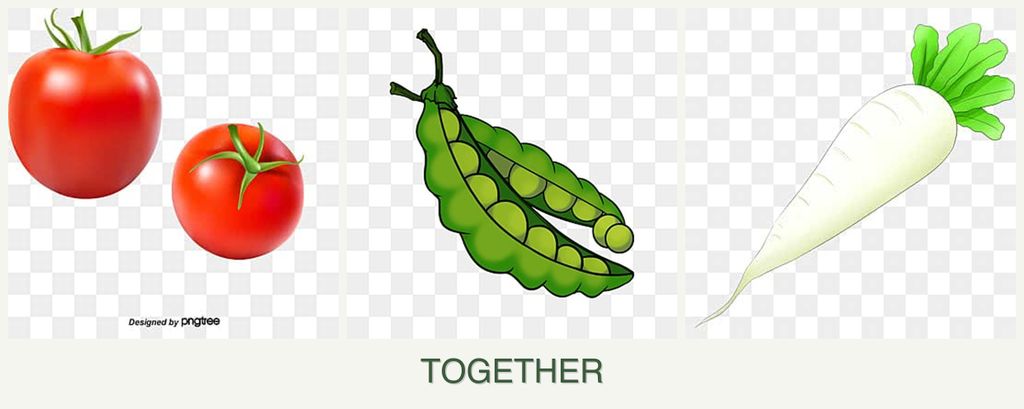 Can you plant tomatoes, peas and radishes together?