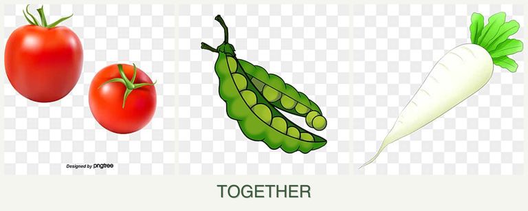 Can you plant tomatoes, peas and radishes together?