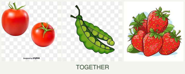 Can you plant tomatoes, peas and strawberries together?