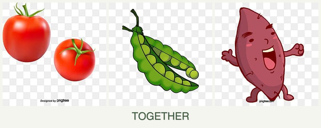 Can you plant tomatoes, peas and sweet potatoes together?