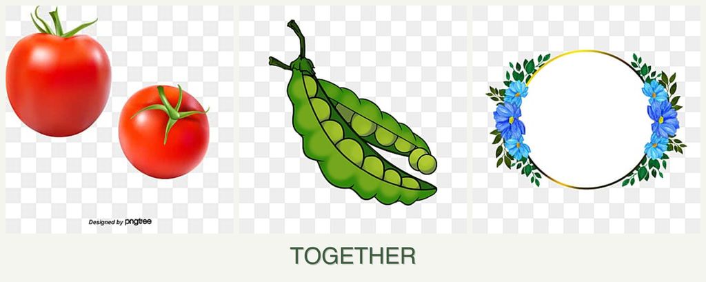 Can you plant tomatoes, peas and zinnias together?