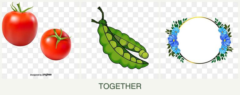 Can you plant tomatoes, peas and zinnias together?