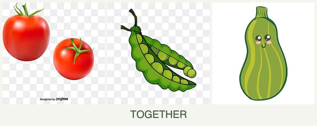 Can you plant tomatoes, peas and zucchini together?