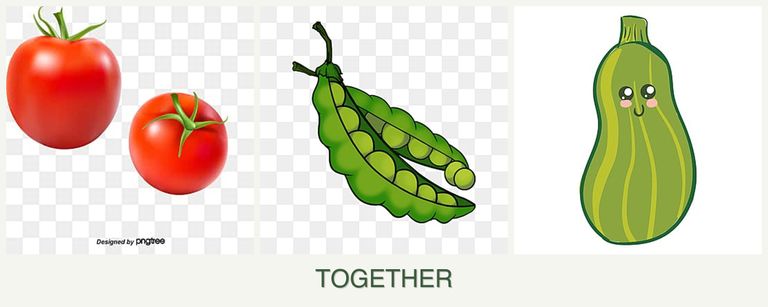 Can you plant tomatoes, peas and zucchini together?