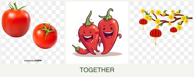 Can you plant tomatoes, peppers and apricots together?