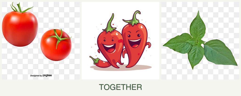 Can you plant tomatoes, peppers and basil together?