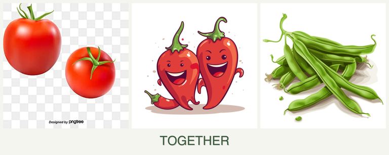 Can you plant tomatoes, peppers and beans together?