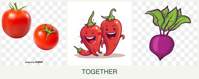 Can you plant tomatoes, peppers and beets together?