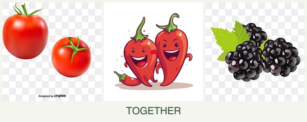 Can you plant tomatoes, peppers and blackberries together?