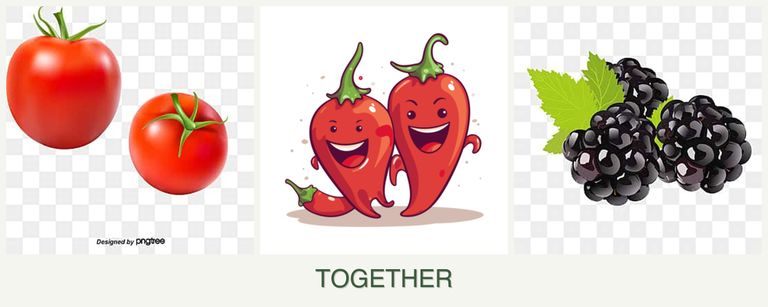 Can you plant tomatoes, peppers and blackberries together?
