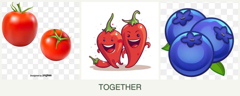Can you plant tomatoes, peppers and blueberries together?