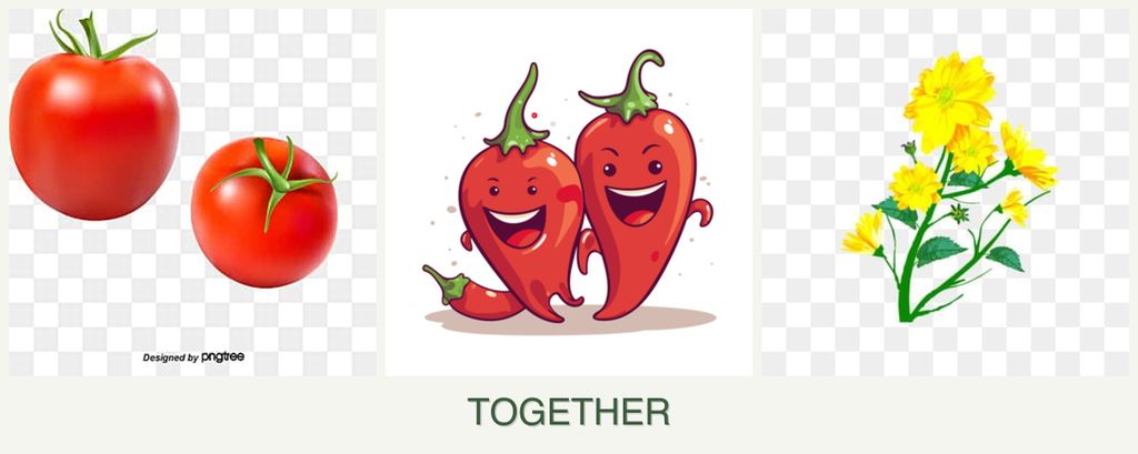 Can you plant tomatoes, peppers and calendula together?