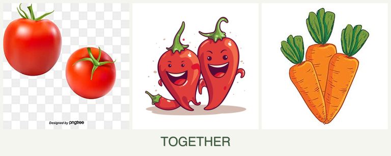 Can you plant tomatoes, peppers and carrots together?