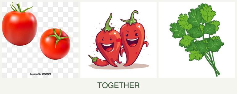 Can you plant tomatoes, peppers and cilantro together?