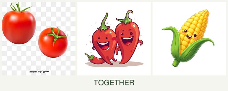 Can you plant tomatoes, peppers and corn together?