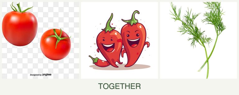 Can you plant tomatoes, peppers and dill together?