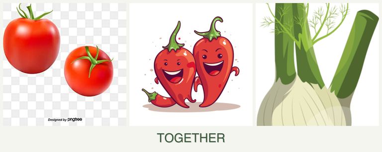 Can you plant tomatoes, peppers and fennel together?