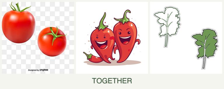 Can you plant tomatoes, peppers and kale together?