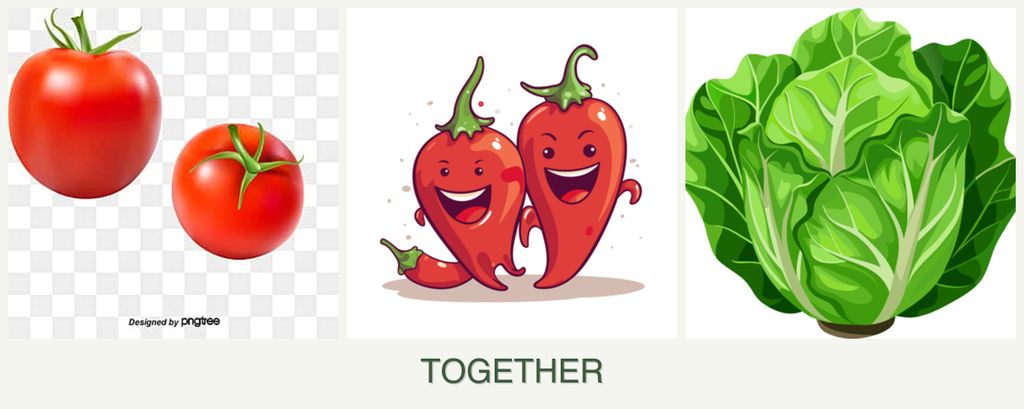 Can you plant tomatoes, peppers and lettuce together?
