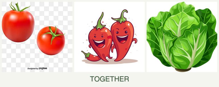 Can you plant tomatoes, peppers and lettuce together?