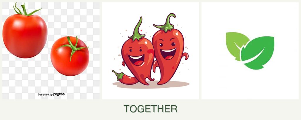 Can you plant tomatoes, peppers and mint together?