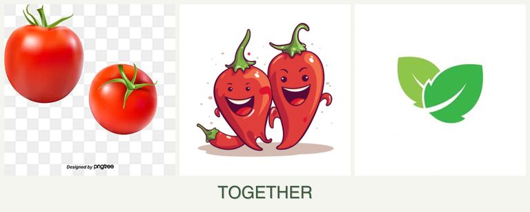 Can you plant tomatoes, peppers and mint together?
