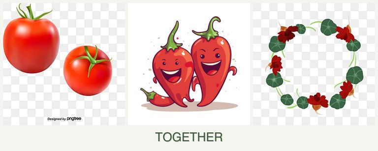 Can you plant tomatoes, peppers and nasturtiums together?